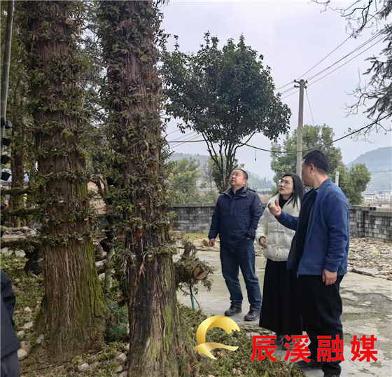 微信图片_20250221114702.png