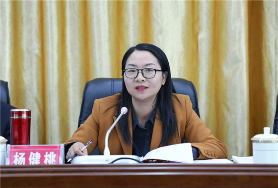 县委副书记,县长丁热平主持会议县委书记谢建军出席会议并讲话会议