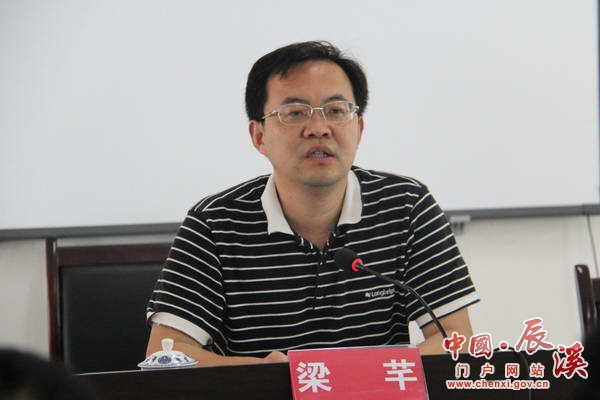 县委常委,副县长梁芊出席并讲话,县政府党组成员,政府办主任周克武