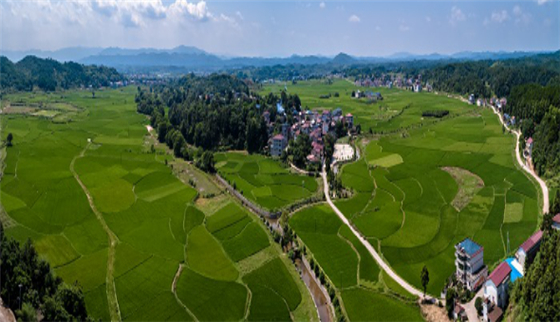潭湾镇:打造"粮,菜,游"特色板块 争当乡村振兴"排头兵" - 辰溪县人民